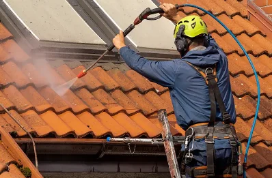 Démoussage et hydrofuge de toiture à Sallenôves